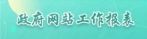 政府网站工作报表