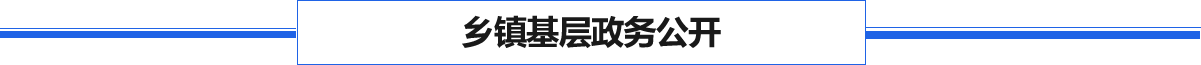 乡镇基层政务公开