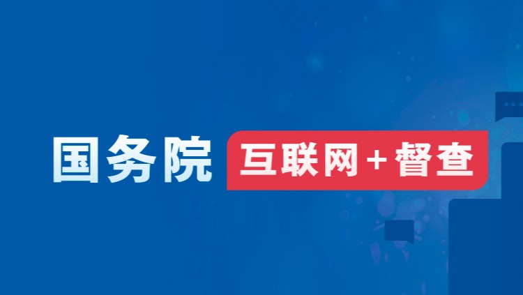 国务院、互联网+督查