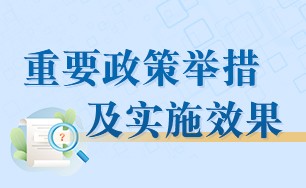 重要政策举措及实施效果