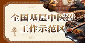 全国基层中医药工作示范区