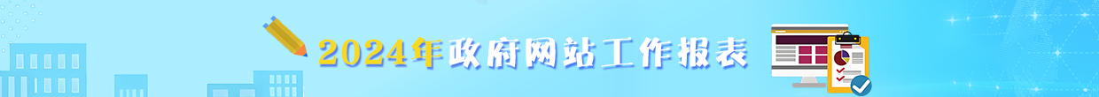 2024年政府网站工作报表