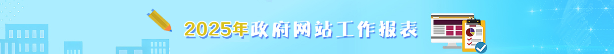 2025年政府网站工作报表