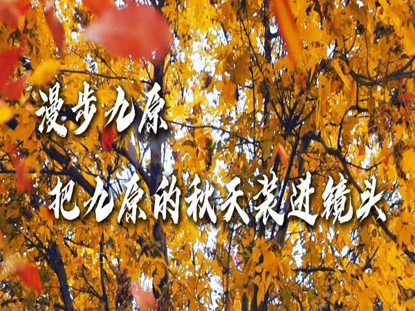 漫步九原，把九原的秋天装进镜头。