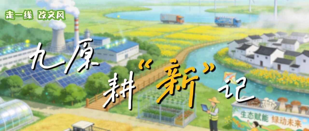 走一线改文风|九原农事新图景：数字化“种”进玉米田