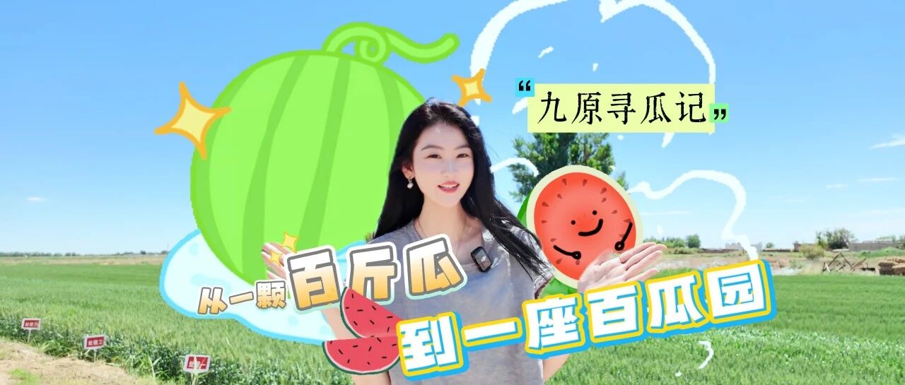 【九原好物】从一颗“百斤瓜”到一座“百瓜园”