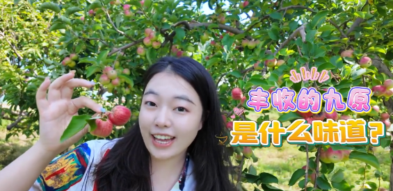 丰收的九原，是什么味道？
