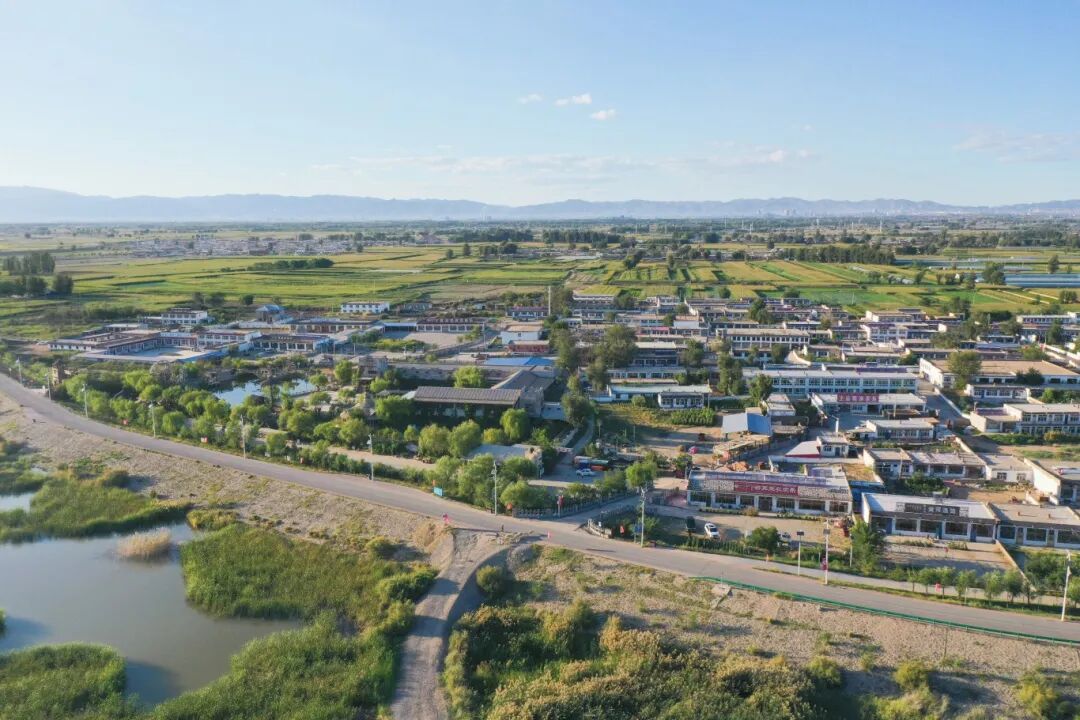 冬日分红，暖了心窝！看九原区集体经济“百花齐放”背后的振兴密码