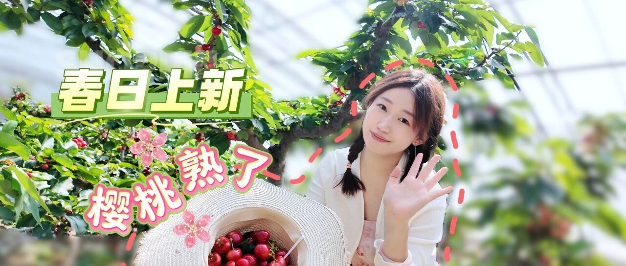 春日上新樱桃熟了
