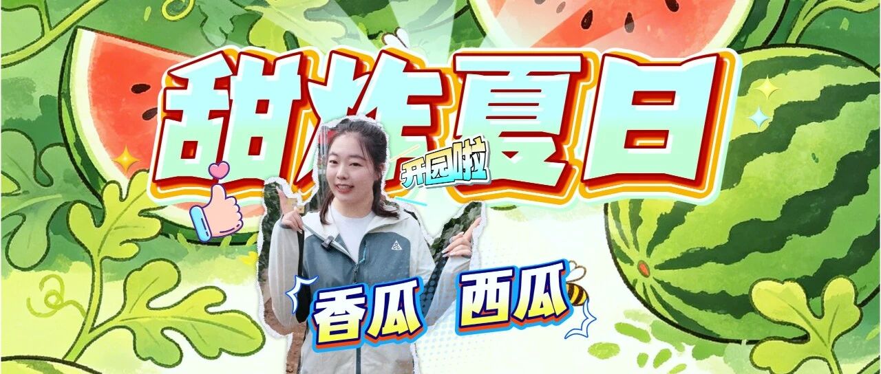 走一线改文风|甜炸夏日！香瓜西瓜甜蜜开园啦~九原的夏日快乐已就位！