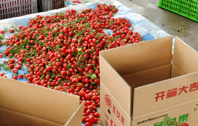 1723520203627099827.png auto