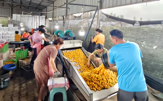 1723520617346031224.png auto