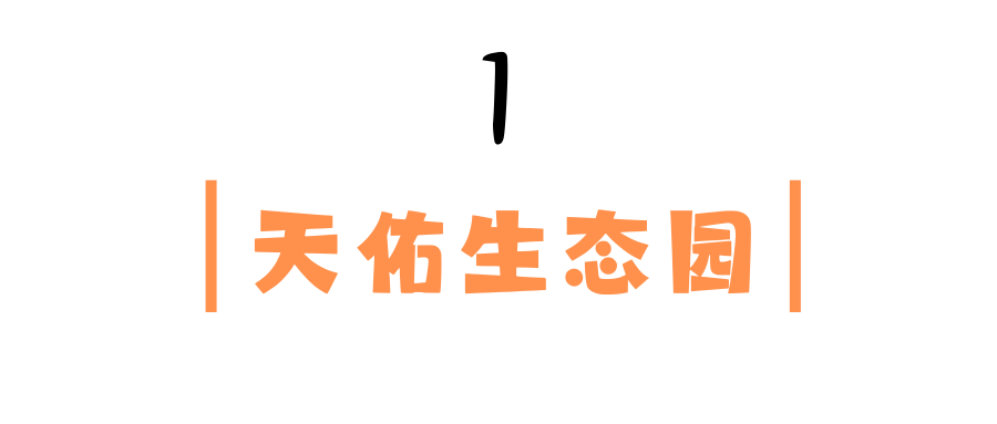 1733109656588029314.png auto