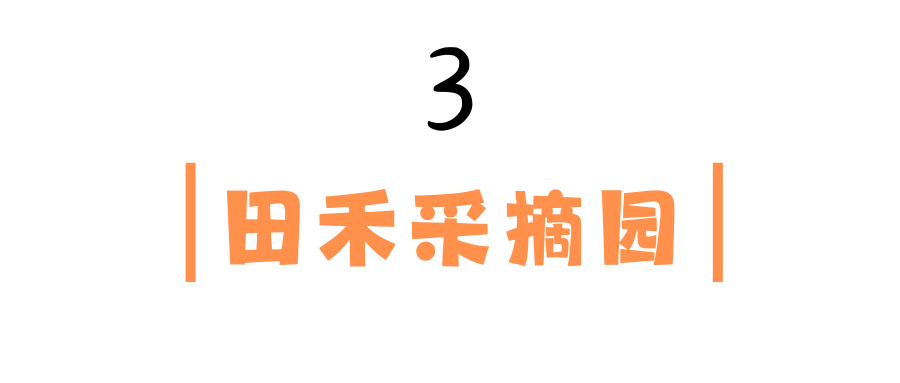 1733109778618061753.png auto