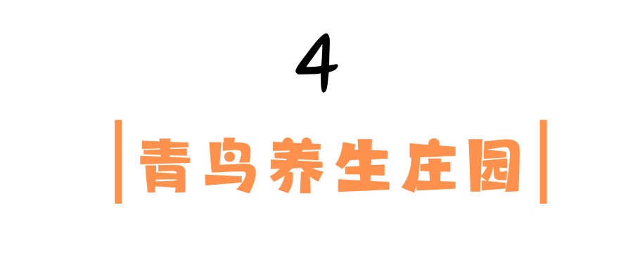 1733109824295038536.png auto