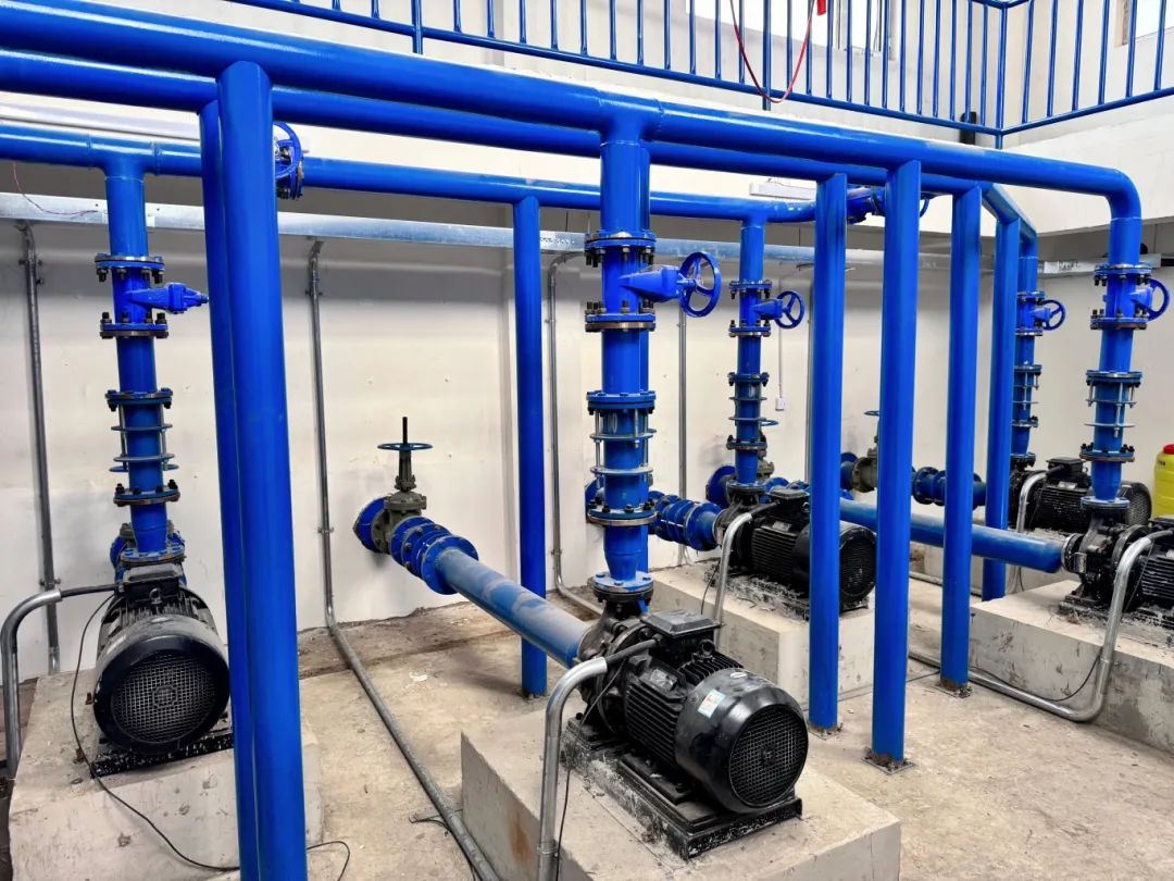 1734057066560081548.jpg auto