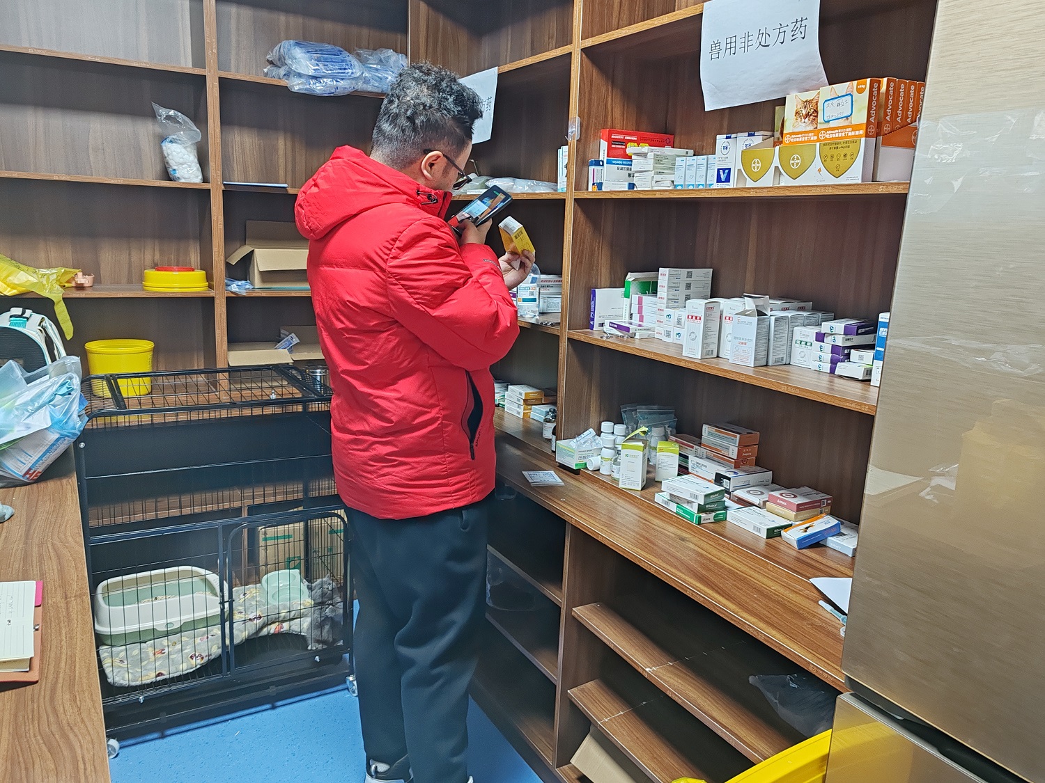 1737617688791078919.jpg auto