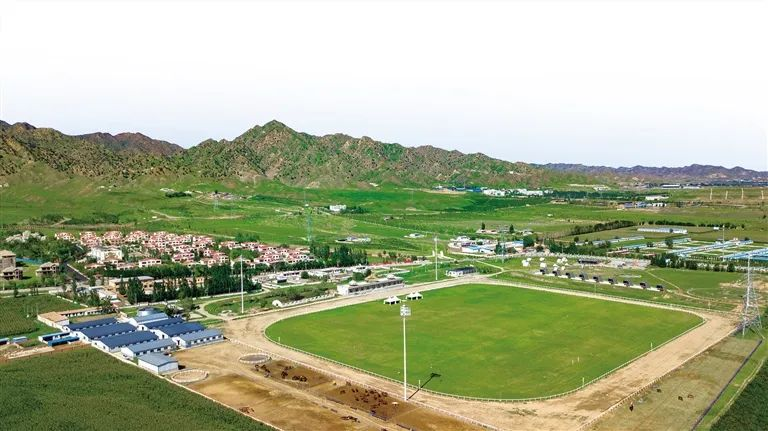 1741222435201065863.png auto