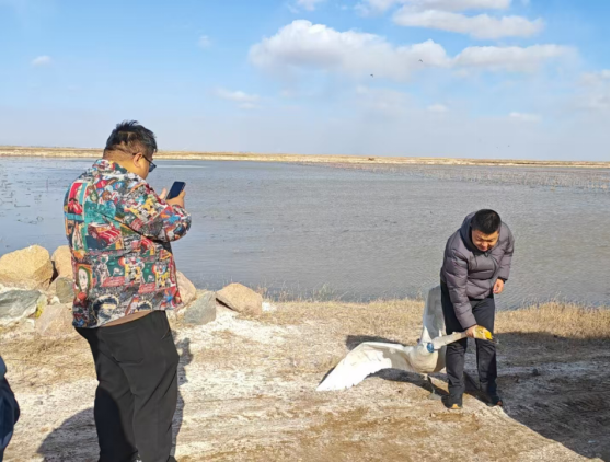 1743409176654073331.png image.png