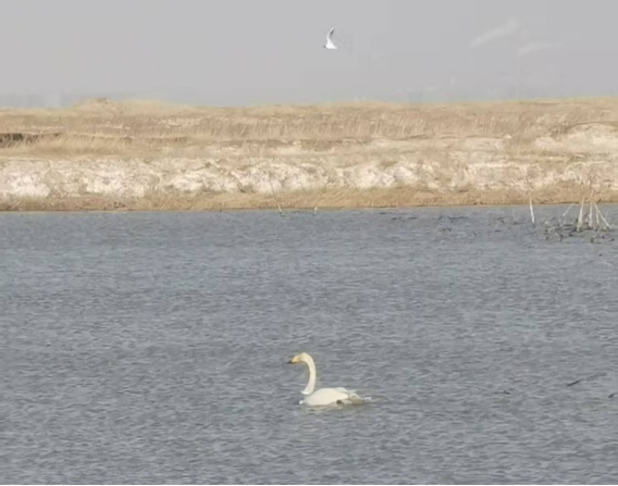 1743409187274050769.png image.png