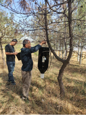 1748512277625051685.png image.png