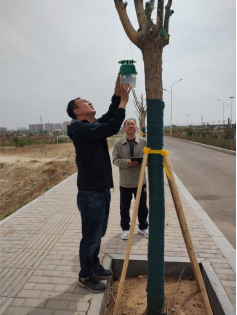 1748512288011004931.png image.png