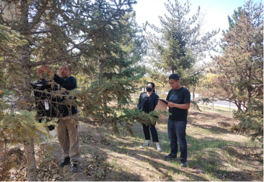 1748512308273060276.png image.png