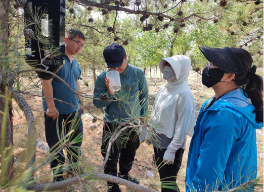 1748512319149061380.png image.png