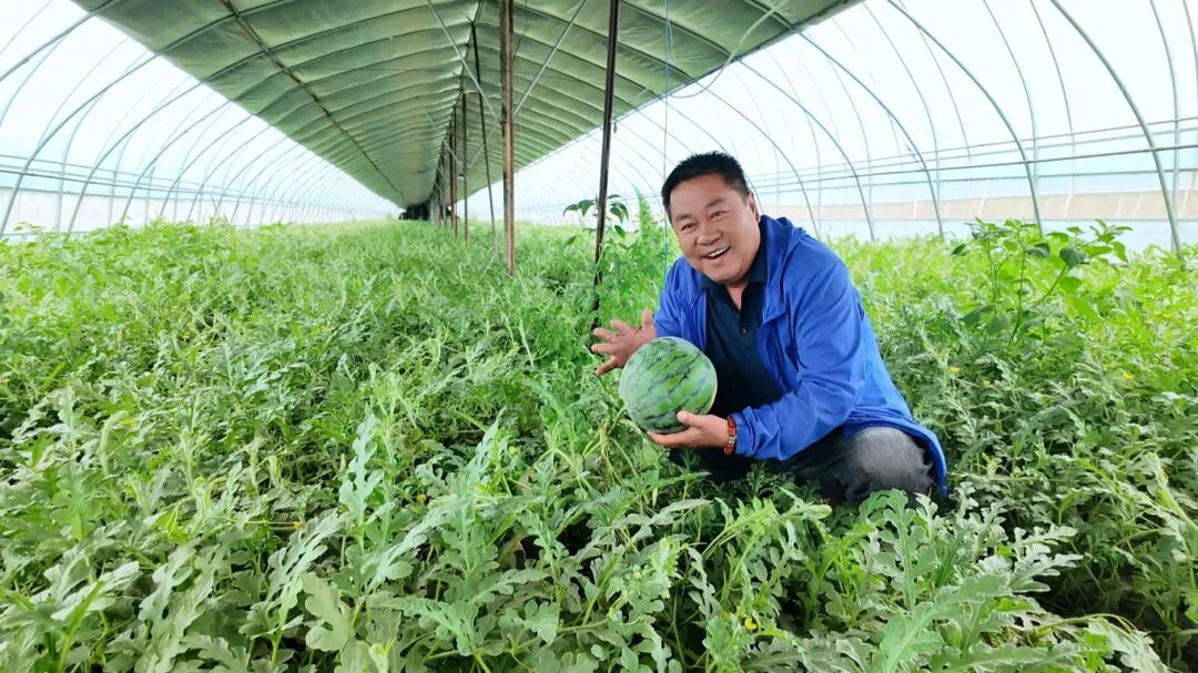 “九原新农人”李旺荣成功实现瓜菜菌轮作模式，开辟村民增收致富新途径.jpg