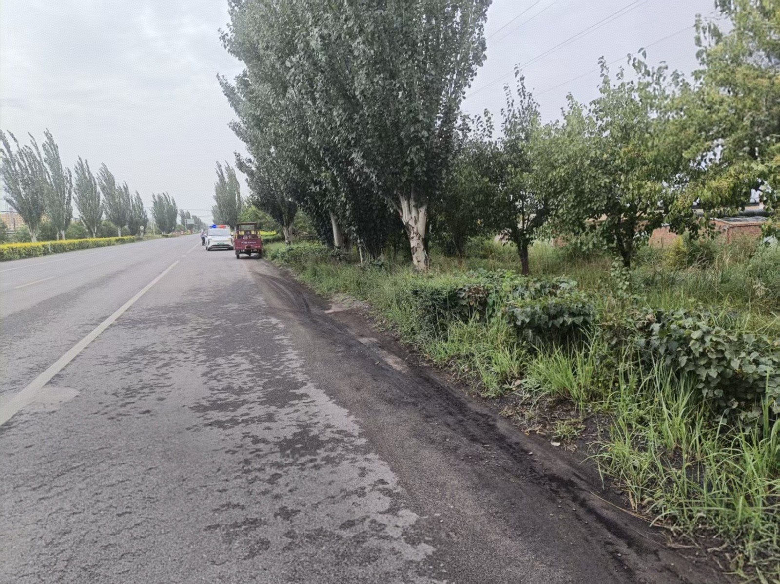 1757493219395013828.jpg 1.jpg