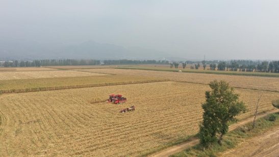 DJI_0820