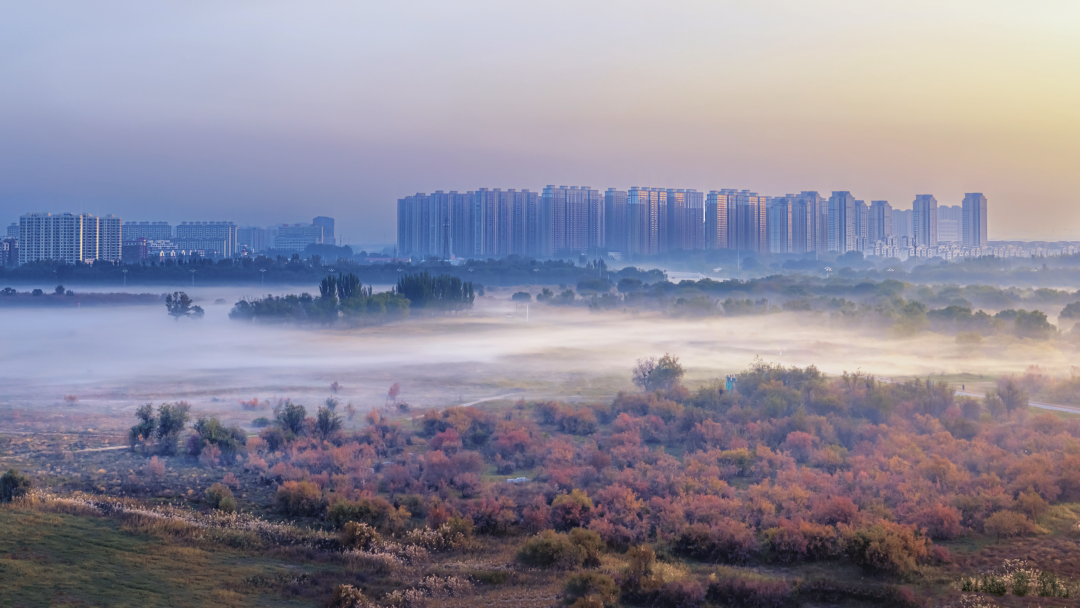 1759980685181074866.png auto