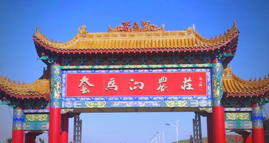 1759980714588066021.png auto