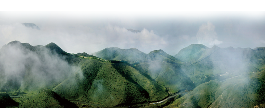 1759980774900026332.png auto