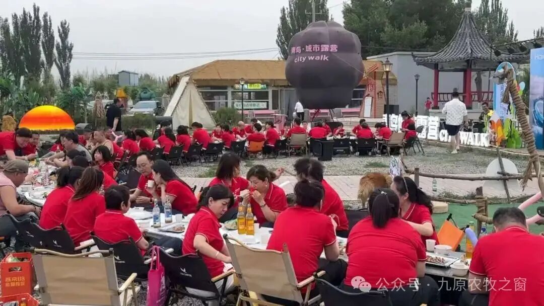 第一部分：游客们在青鸟养生庄园团建.jpg