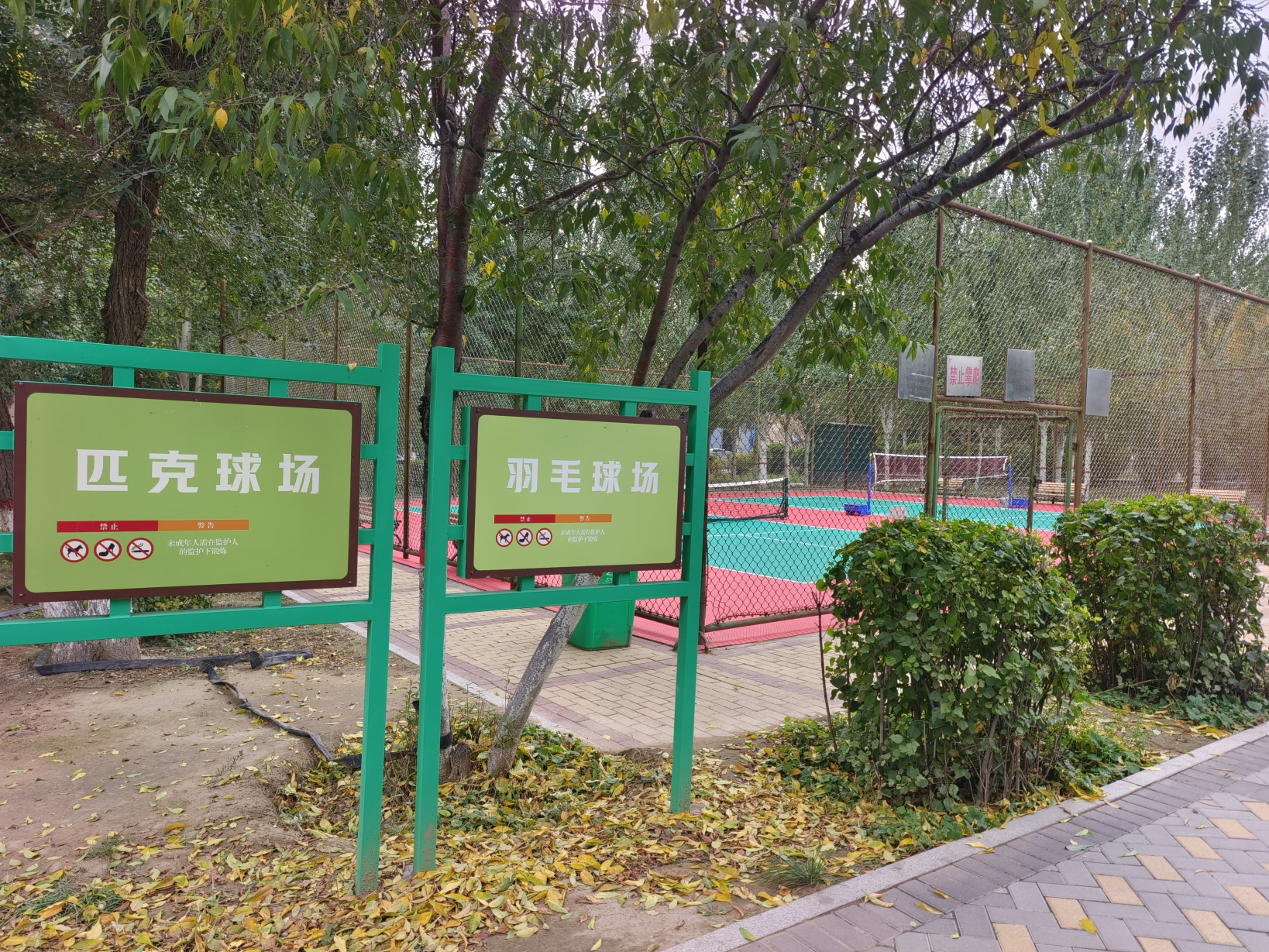 1760929613977055571.png auto