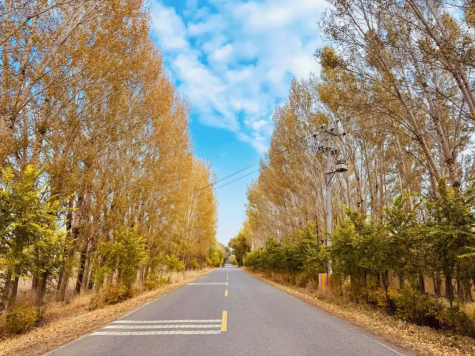 1761618747741062446.png auto