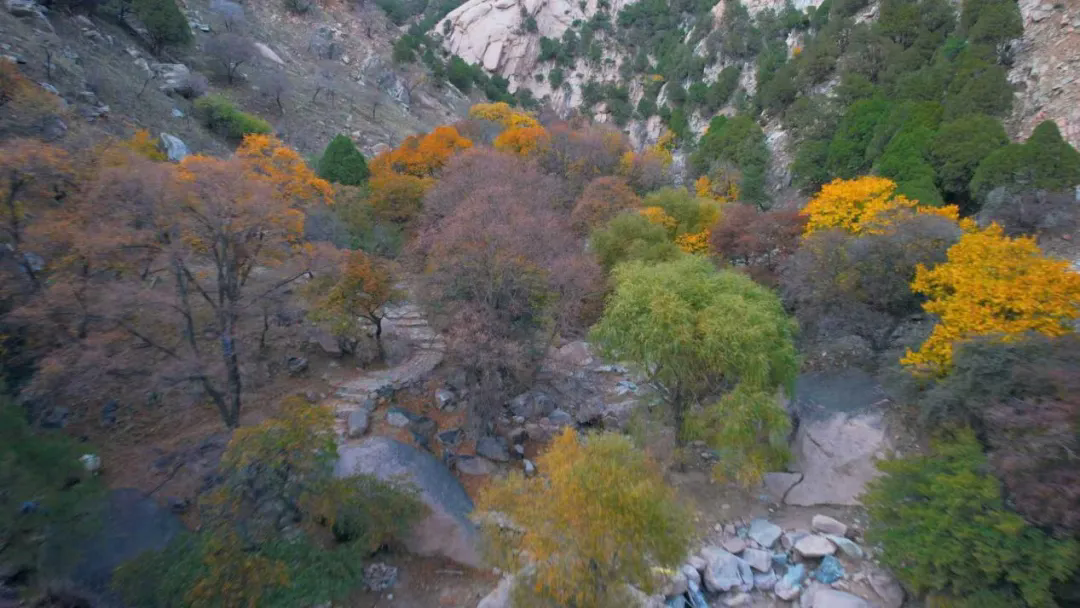 1761618759162083051.png auto