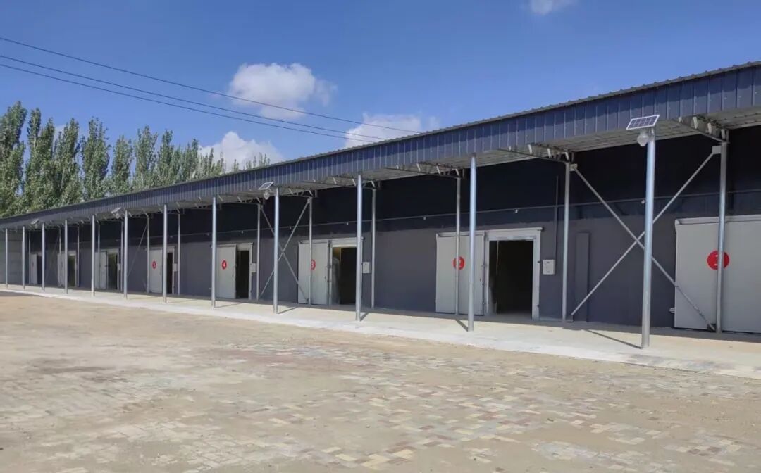 1763002751933010920.jpg auto