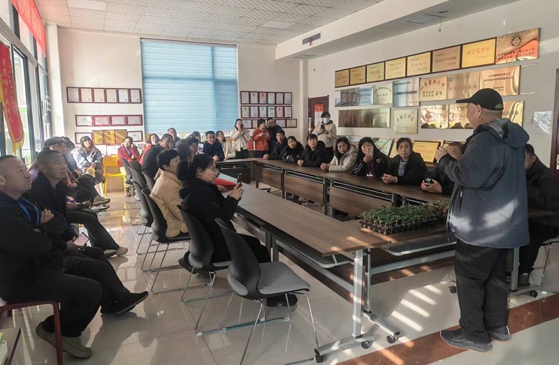 1763522694959057878.jpg auto