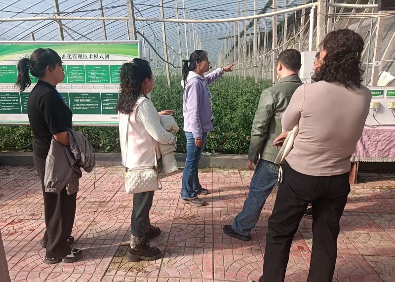 1763522711844038700.jpg auto