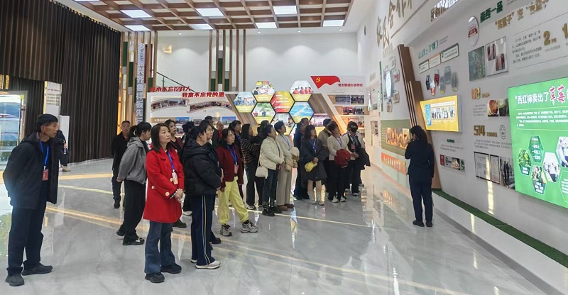 1763522718328086585.jpg auto