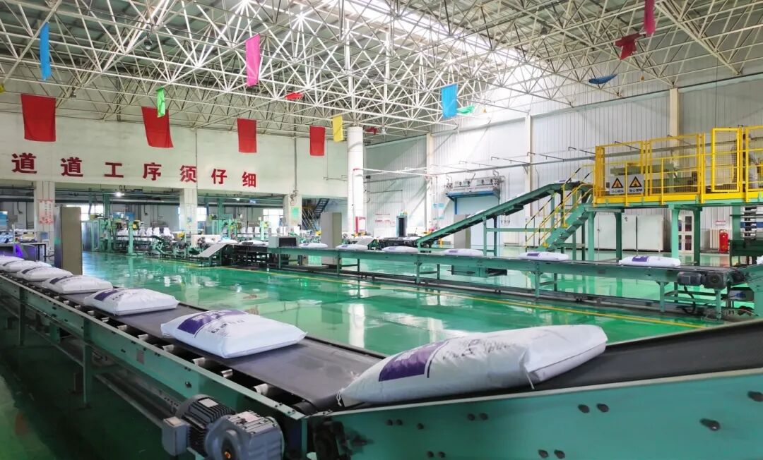 第二部分：国能包头煤化工有限责任公司包装车间内，自动化生产线正高速运转.jpg