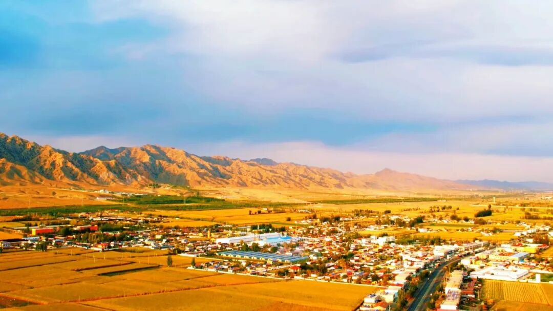 1764904428623087051.jpg auto