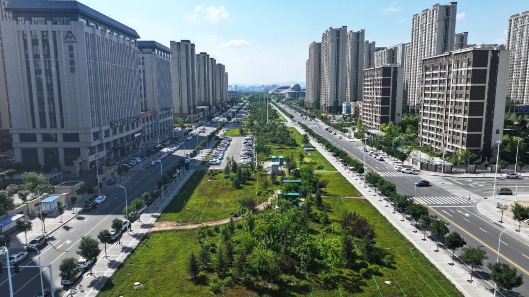 1764904466498072637.jpg auto