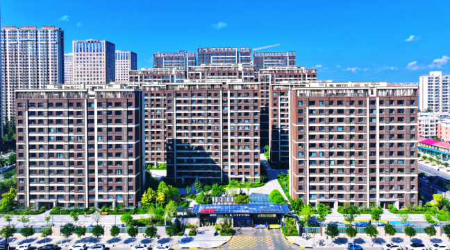 1764904475145094832.png auto