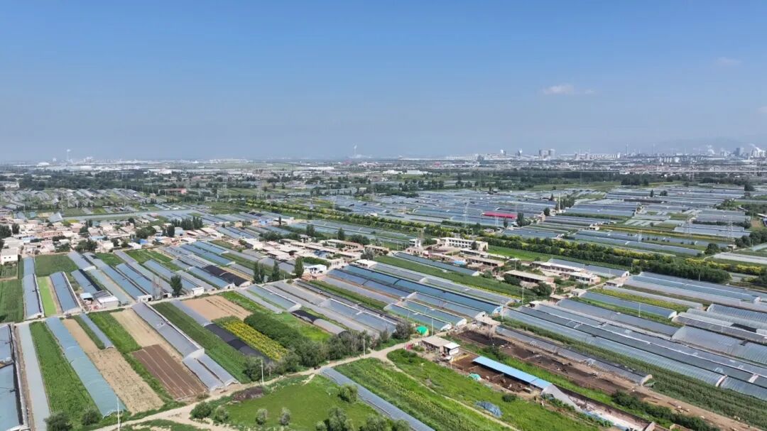 1764904534425047282.jpg auto