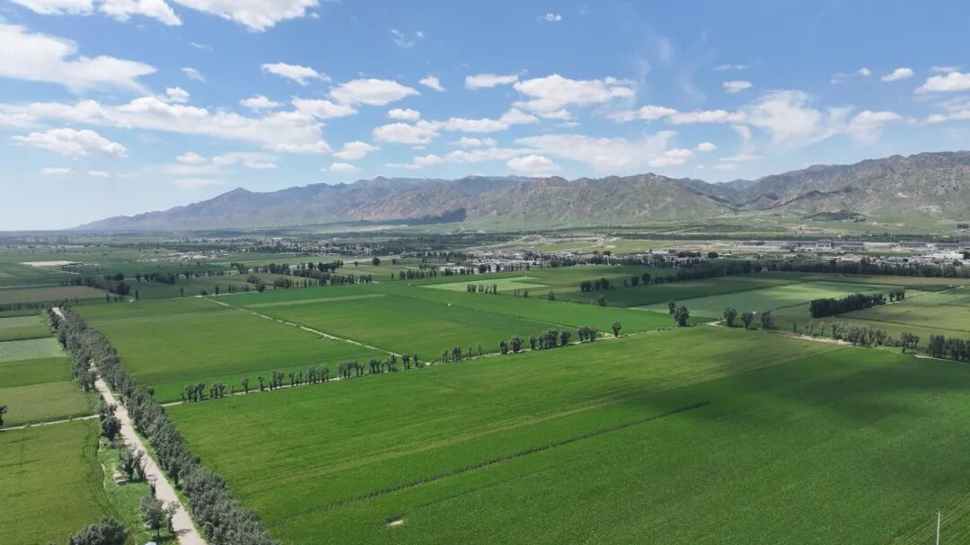 1764904554300018415.jpg auto