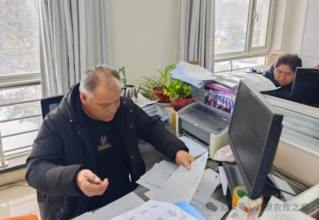 1766652613023099535.jpg auto