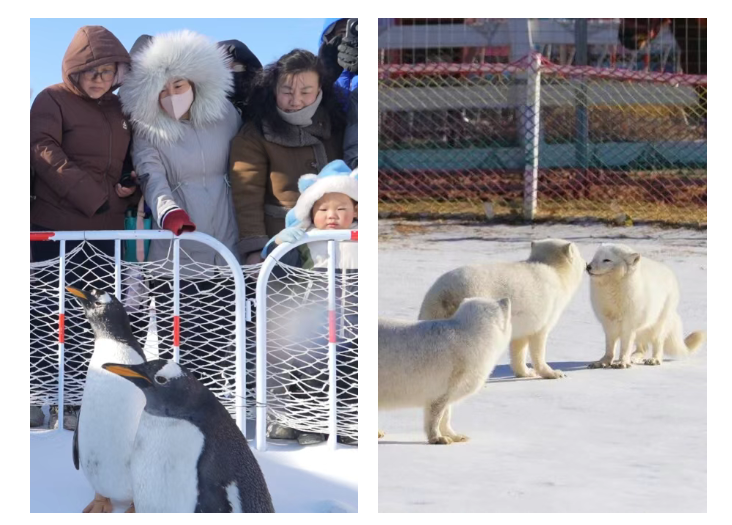 1768875094401083992.jpg auto